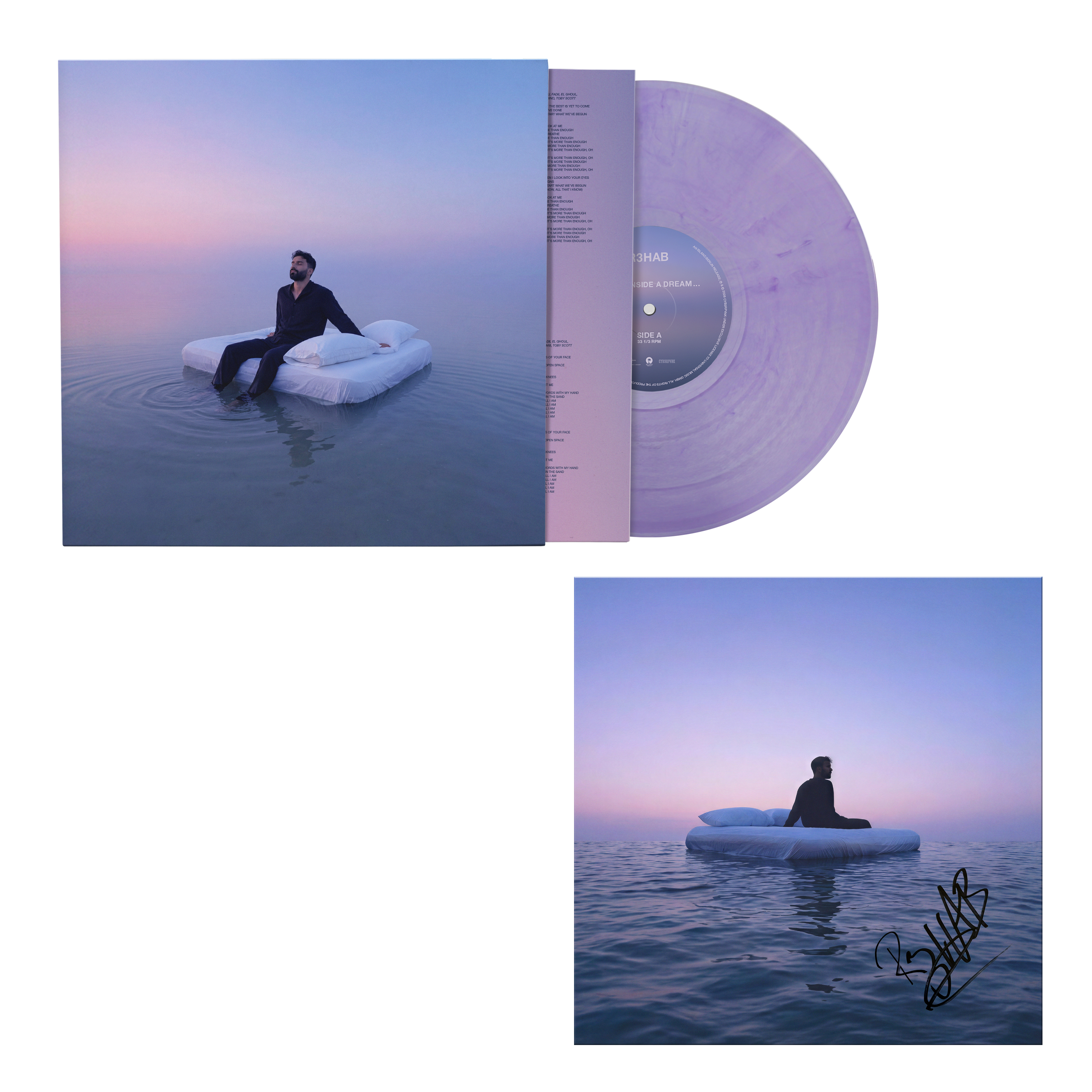 Dream Inside a Dream... - Vinilo 180gr (Edición Limitada Color Marmolado) + Tarjeta Firmada