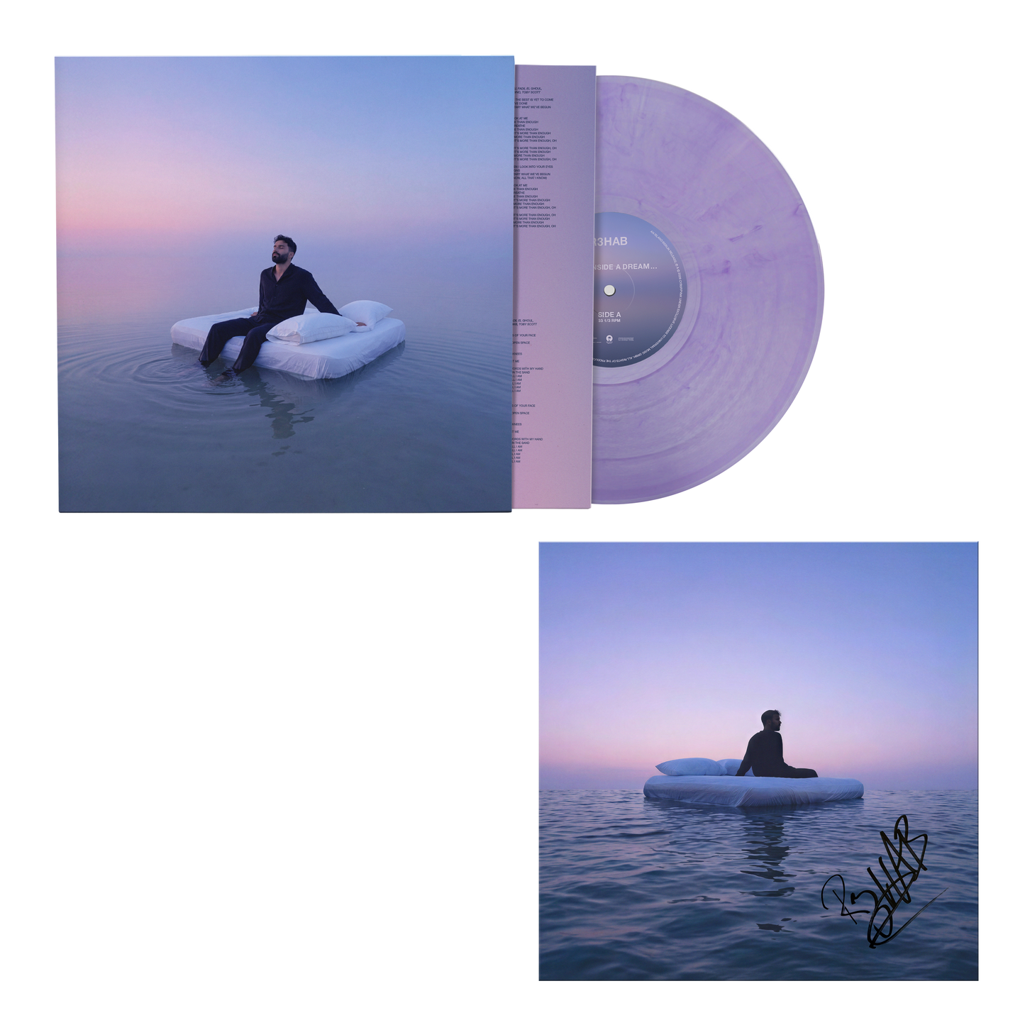 Dream Inside a Dream... - Vinilo 180gr (Edición Limitada Color Marmolado) + Tarjeta Firmada