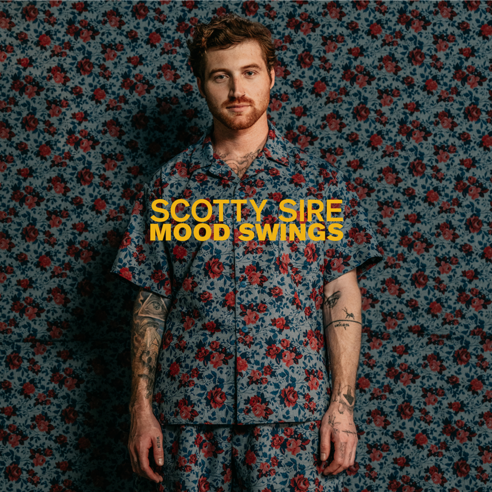 MOOD SWINGS - Vinilo
