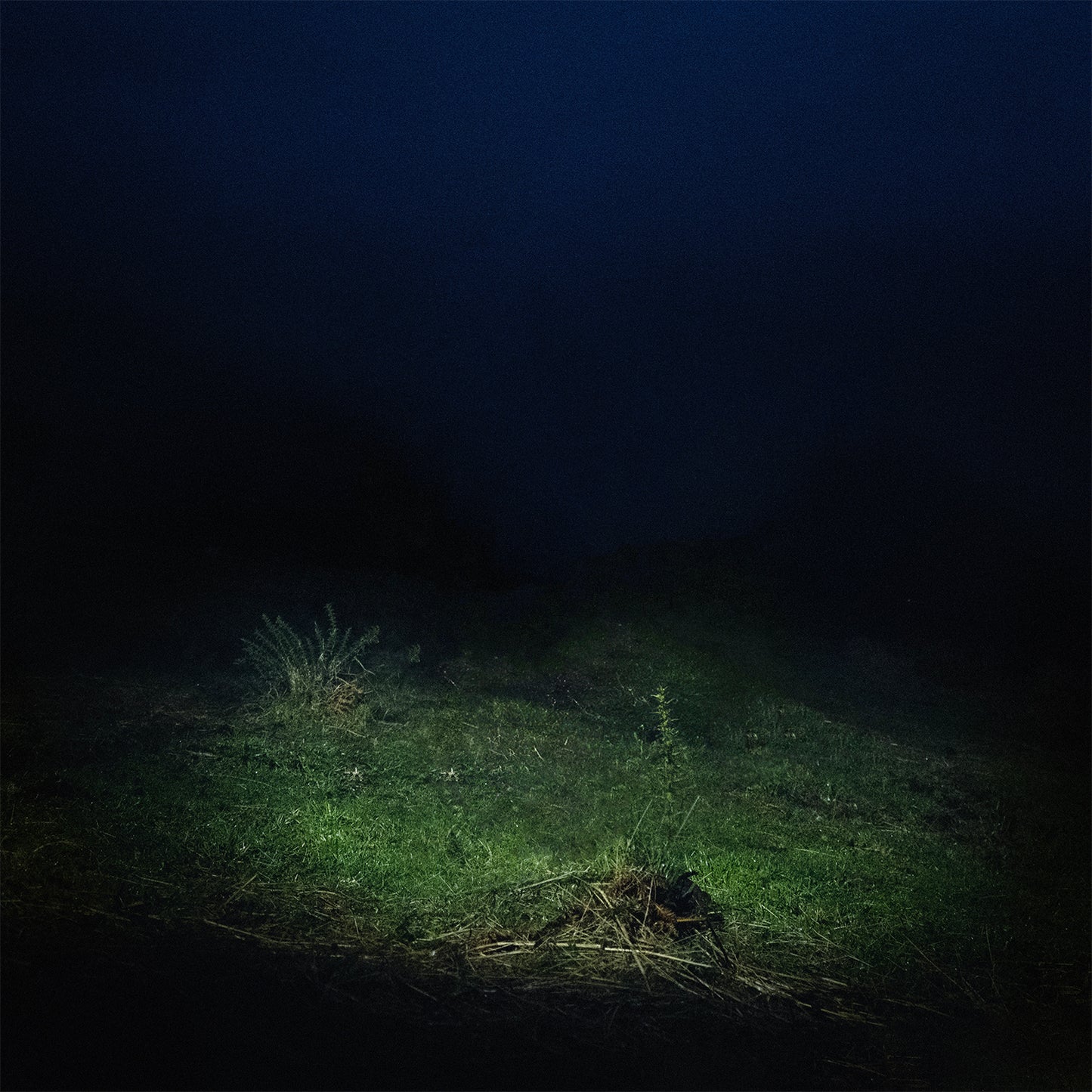 PO2054AZ (Vol.II) - CD (Edición Firmada)