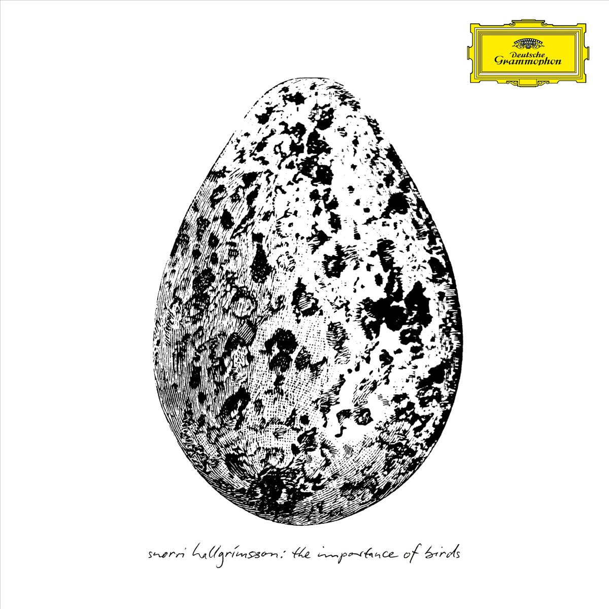 The Importance of Birds - Vinilo