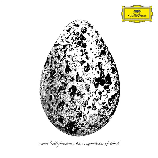 The Importance of Birds - Vinilo