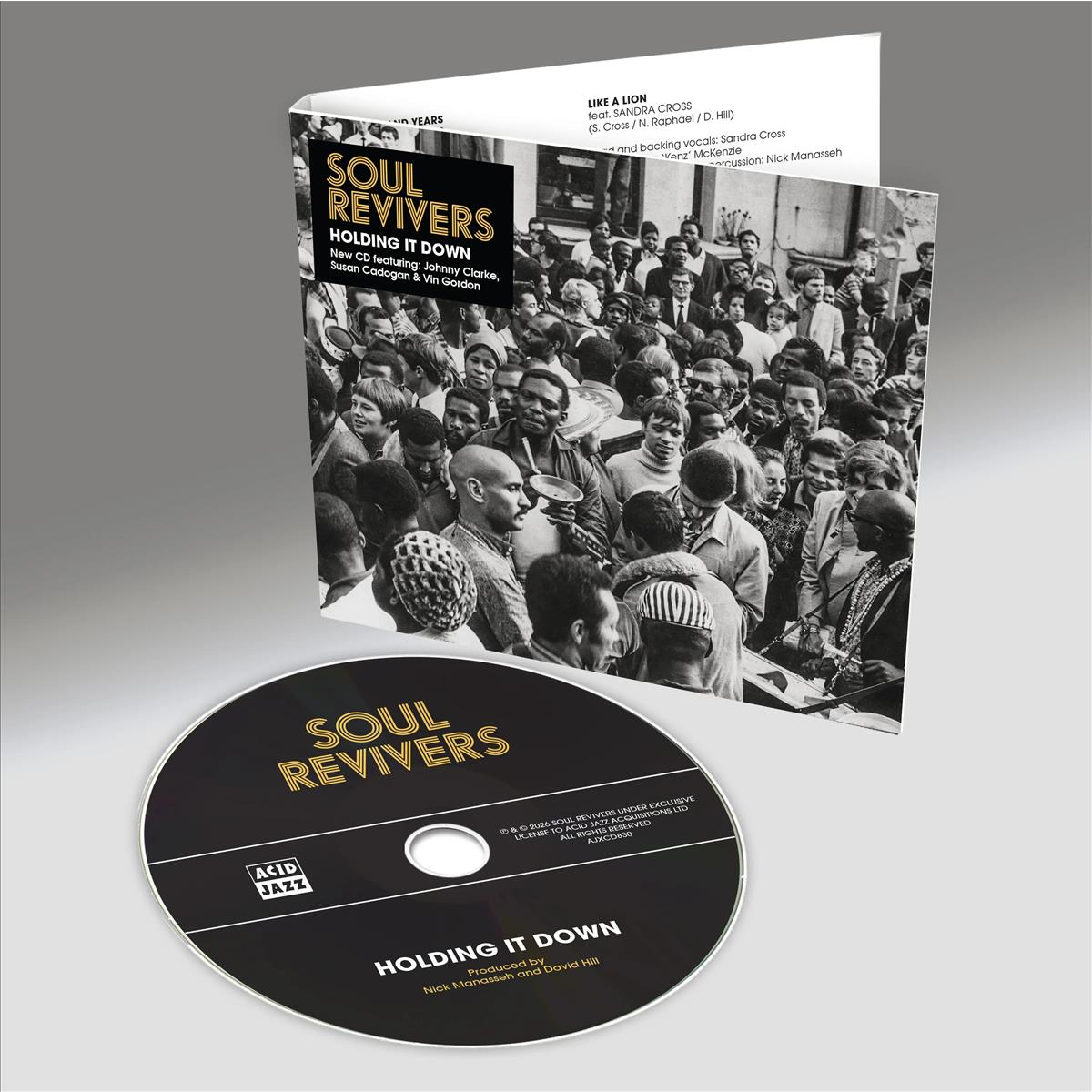 Holding It Down - CD