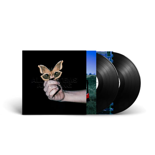 ALL SYSTEMS ARE LYING - Vinilo (2LP)