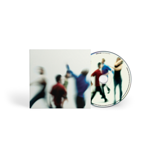 If That Makes Sense - CD