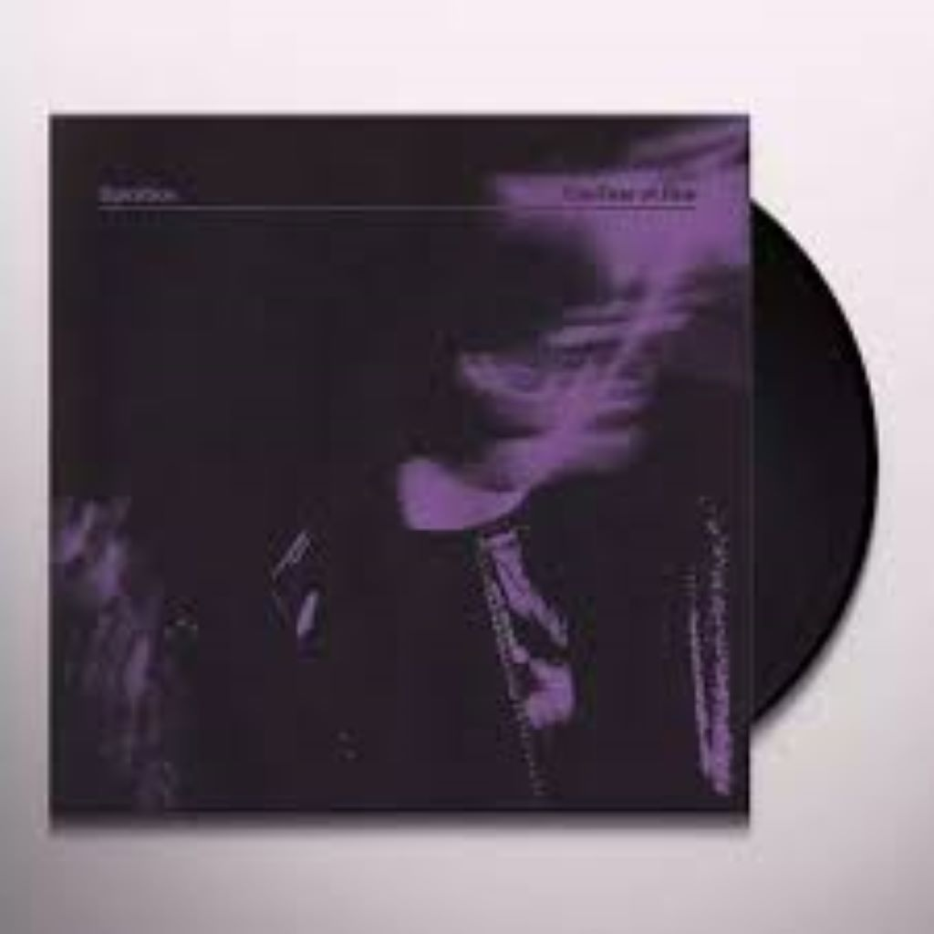 The Fear Of Fear - Vinilo