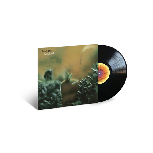 Katy Lied - Vinilo