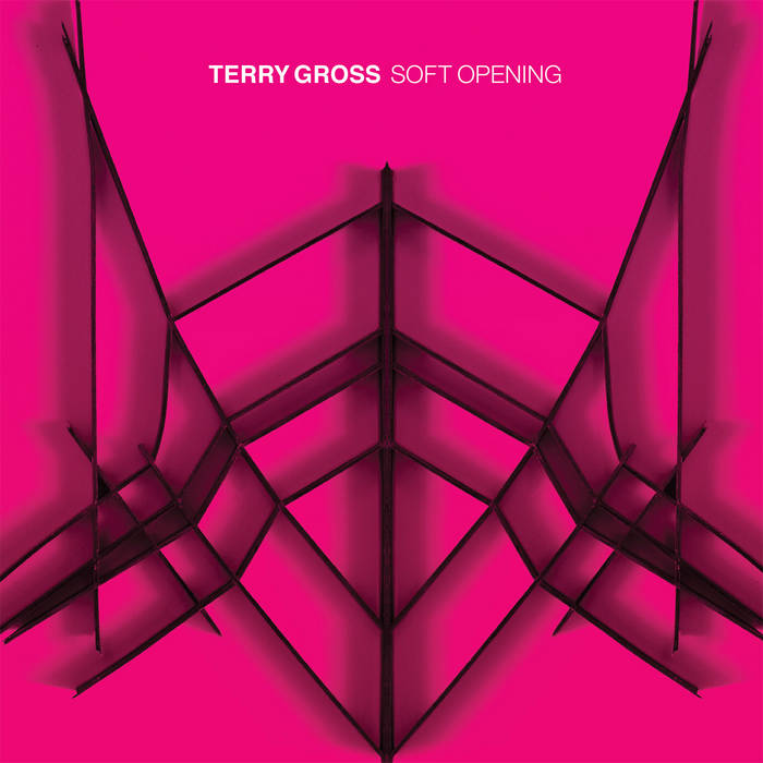 terry-gross-soft-opening-vinilo-lp