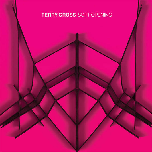 terry-gross-soft-opening-vinilo-lp