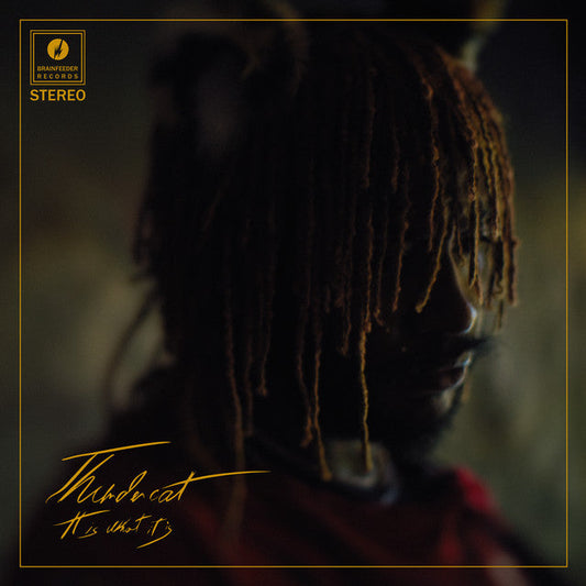 thundercat-fair-chance-vinilo-lp
