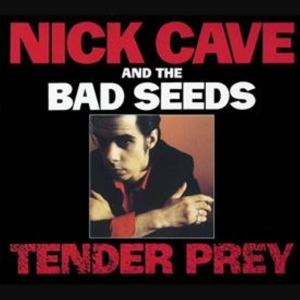 Tender Prey - CD