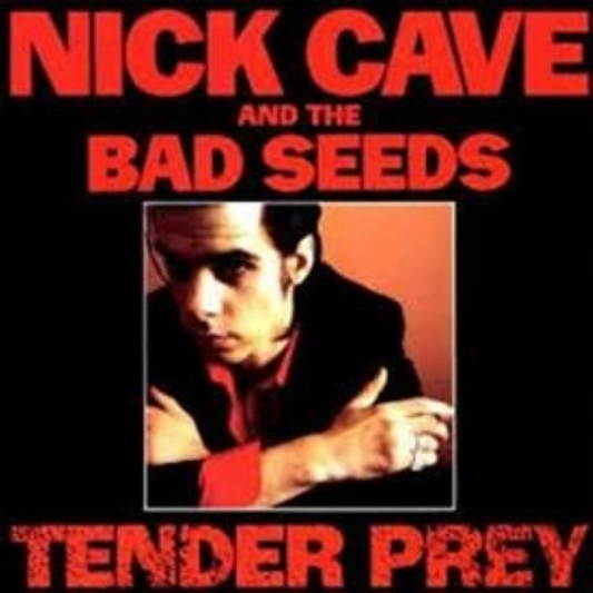 Tender Prey (2010 Remaster) - 2CD + DVD
