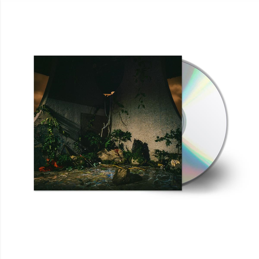 The Plot In You - CD