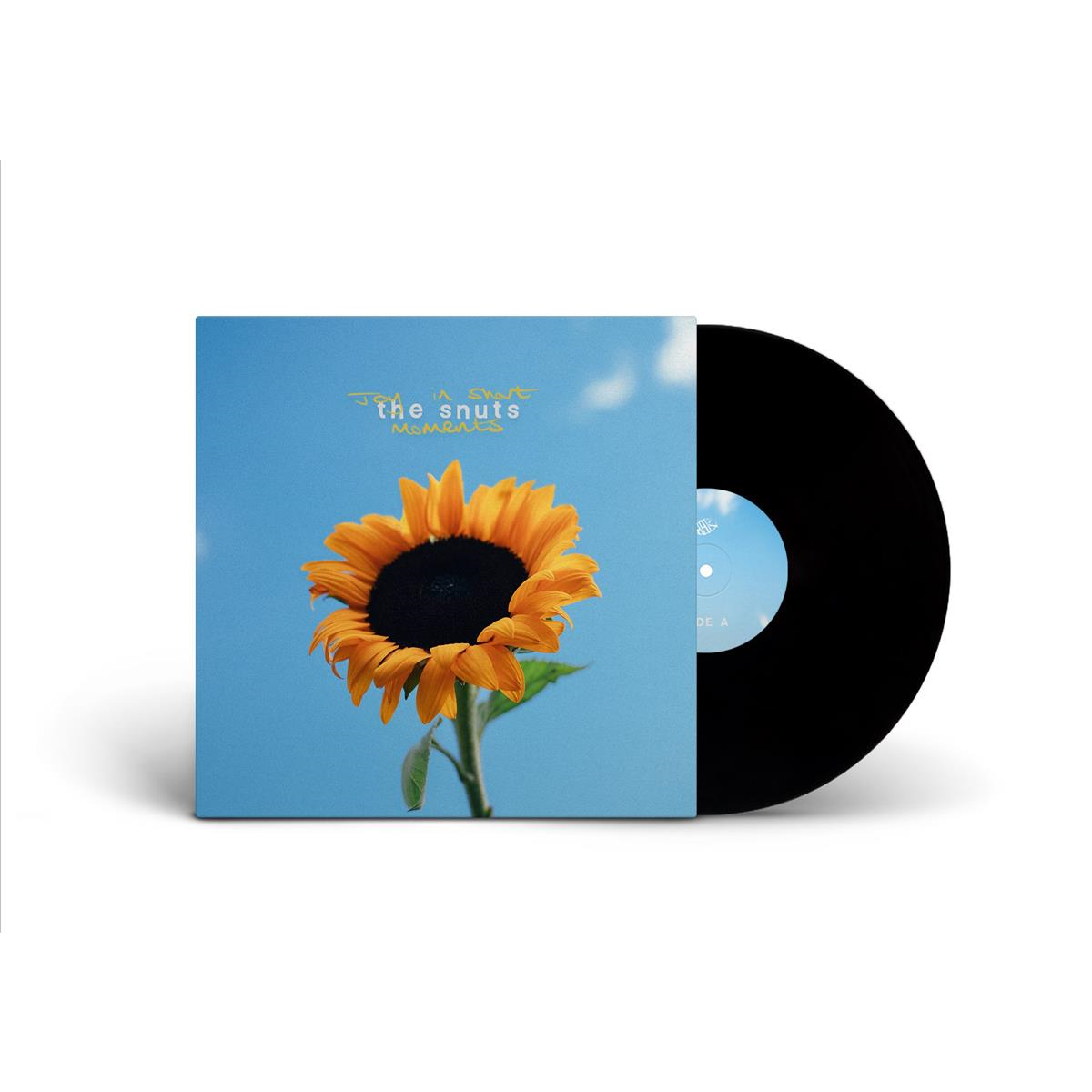 Joy In Short Moments - Vinilo