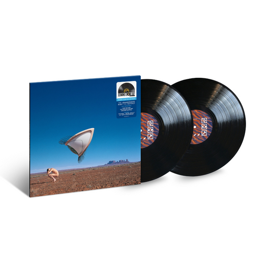 Bury The Hatchet (Complete Sessions) - Vinilo (Edición Limitada 2LP)