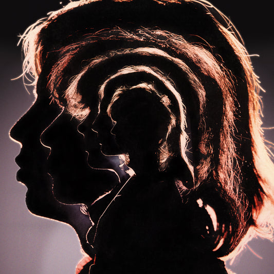 Hot Rocks - Vinilo (2LP)