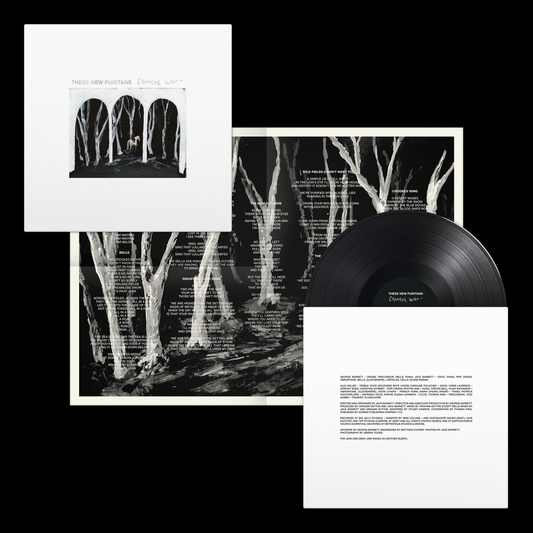 Crooked Wing - Vinilo