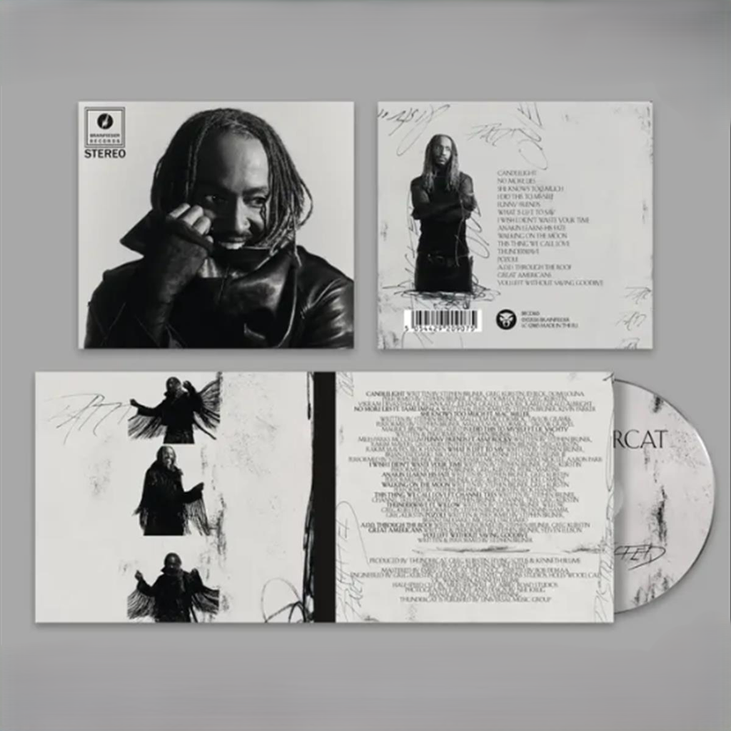 Distracted - CD