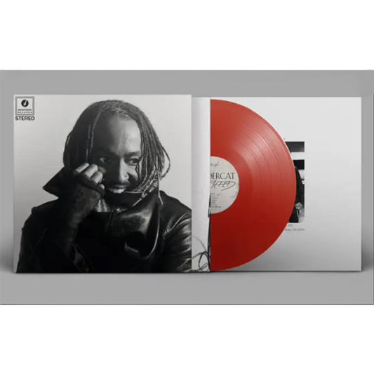 Distracted - Vinilo