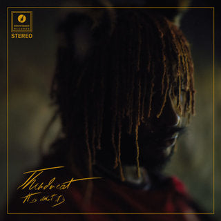 thundercat-it-is-what-it-is-cd-cd