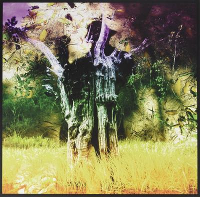 Meeting Of The Waters - Vinilo