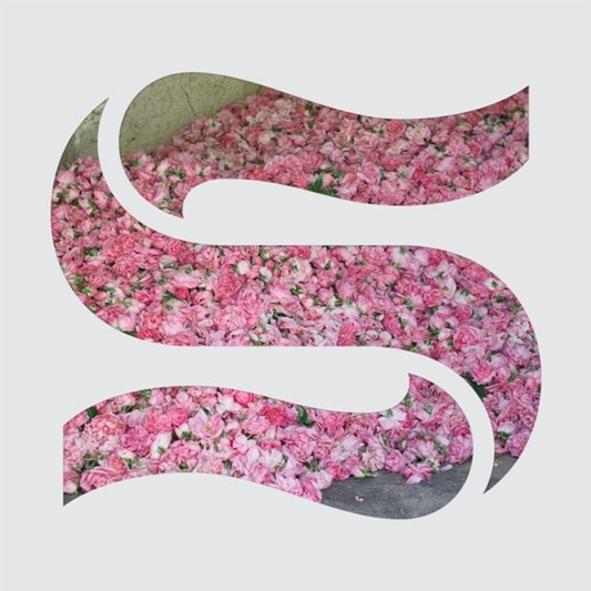 Step By Step EP - Vinilo