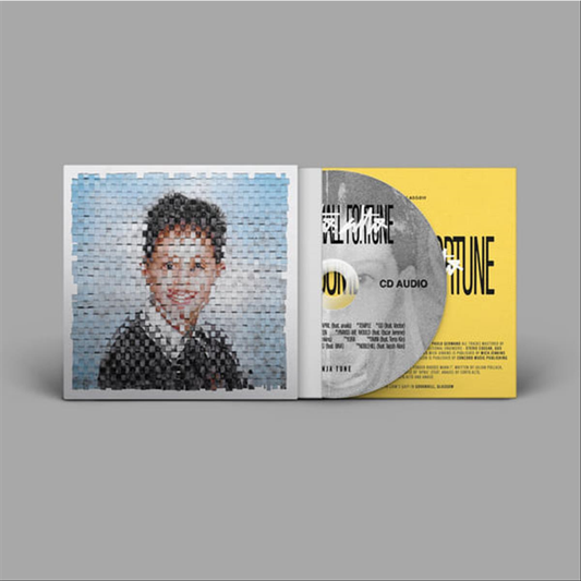 SOME SMALL FORTUNE - CD