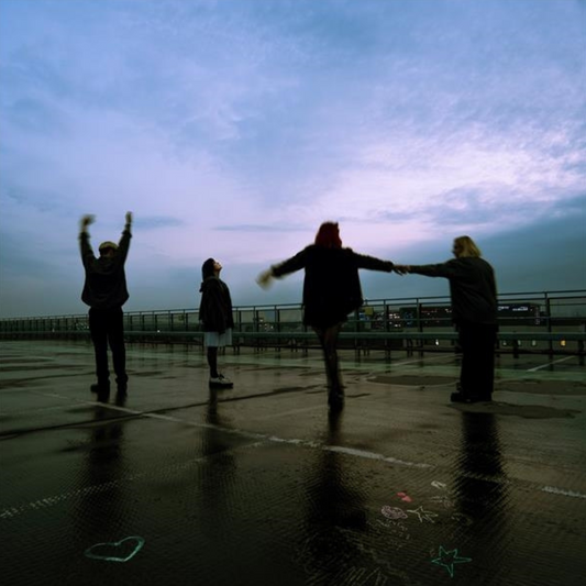 The Mess We Seem To Make - Vinilo