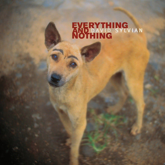 Everything & Nothing - Vinilo (3LP)