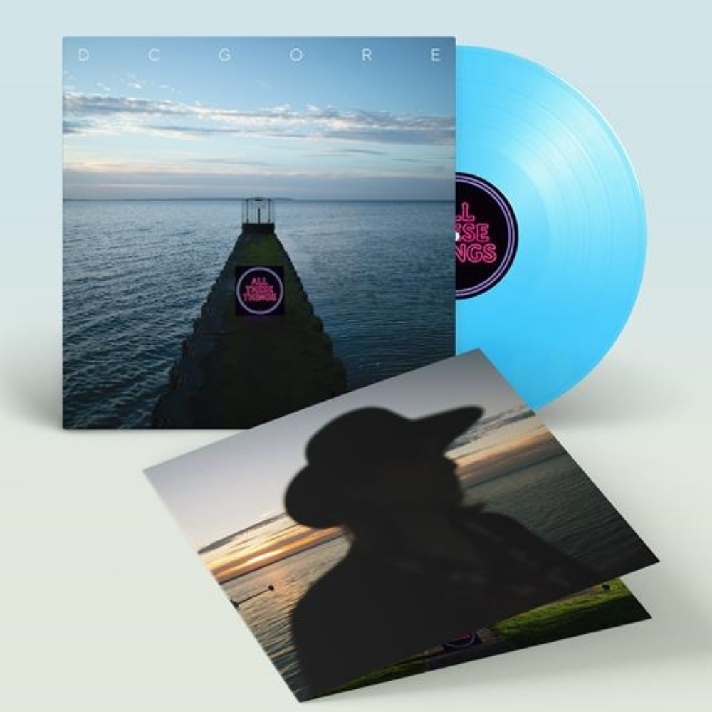 All These Things (LPX) - Vinilo