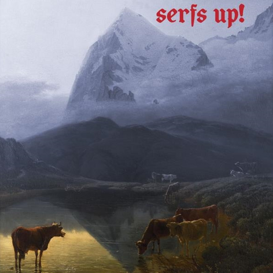 Serf's Up - Vinilo