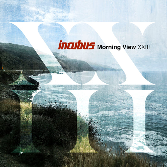 Morning View XXIII - Vinilo (2LP)