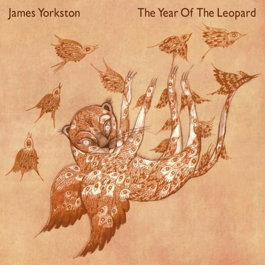The Year Of The Leopard - Vinilo (2LP)
