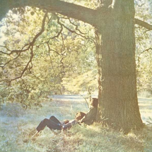 Plastic Ono Band - Vinilo