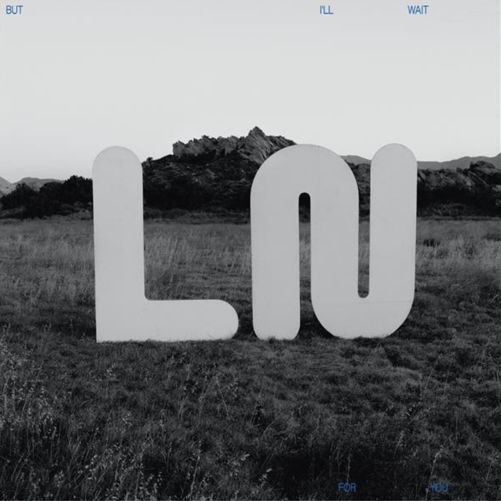 But I'll Wait For You - CD