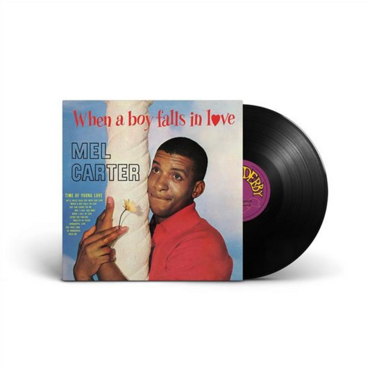 When A Boy Falls In Love - Vinilo