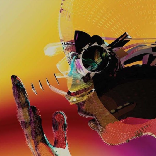 Motion Graphics - Vinilo