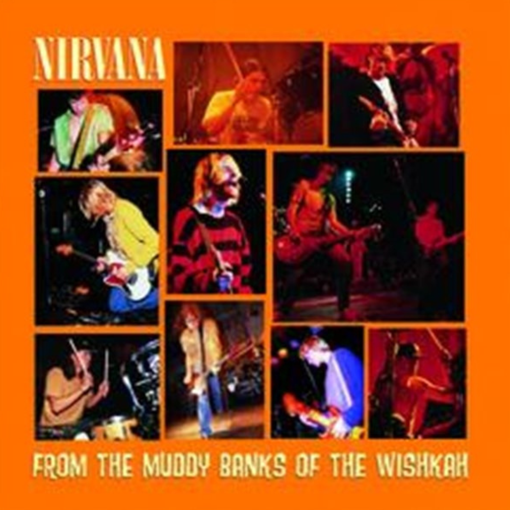 From The Muddy Banks Of The Wishkah - Vinilo (2LP)