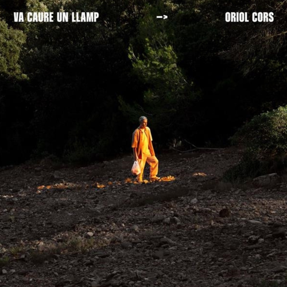 Va Caure Un Llamp - CD