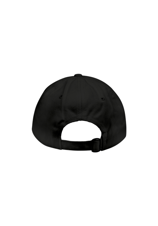 or logo embroidered hat