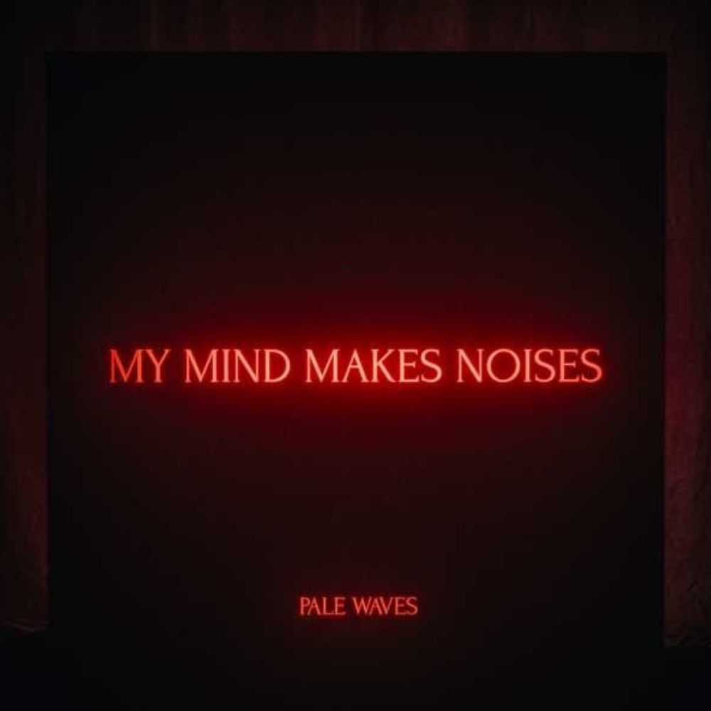 My Mind Makes Noises - CD