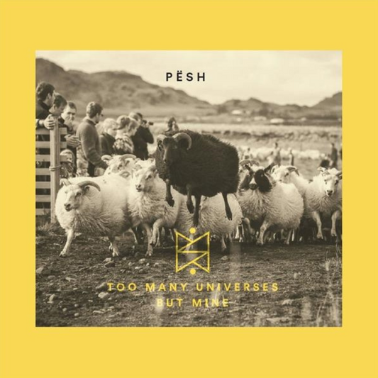 Too Many Universes But Mine - CD