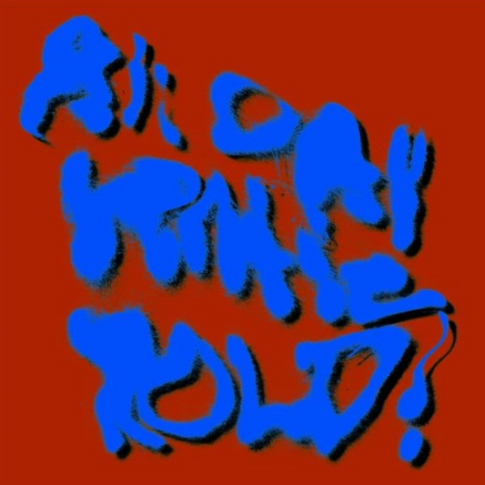 All Day Gentle Hold ! - CD