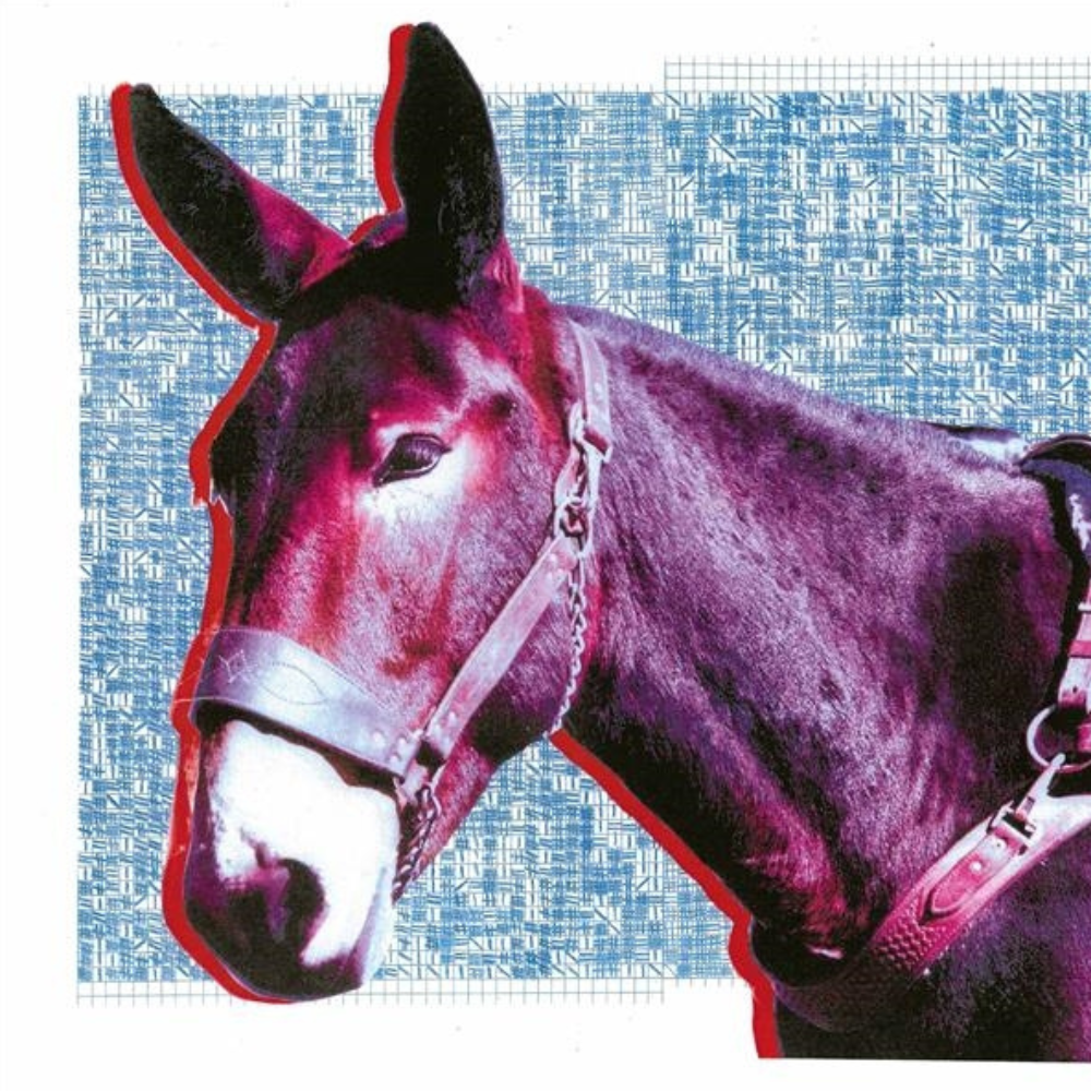 Ultimate Success Today - CD