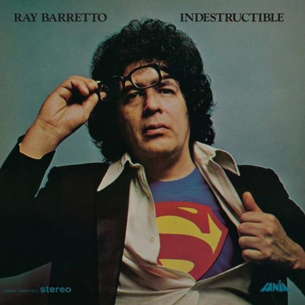 Indestructible - Vinilo