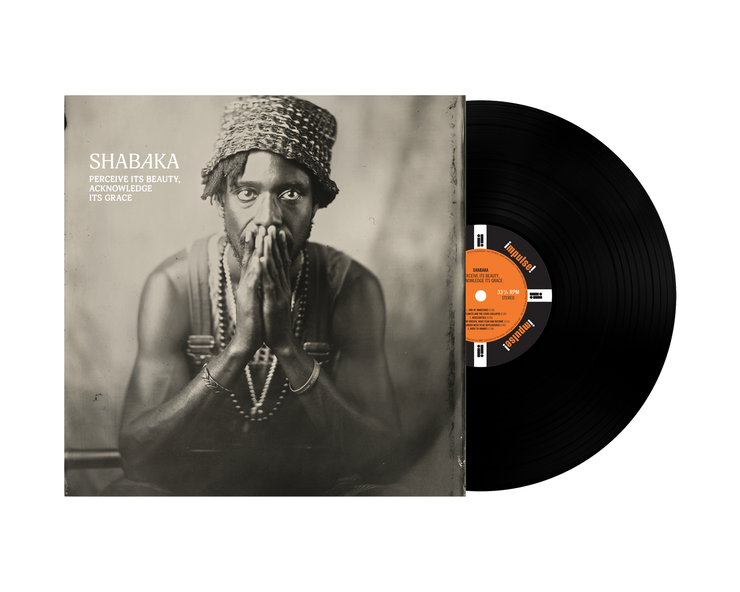 Perceive its Beauty, Acknowledge its Grace - Vinilo