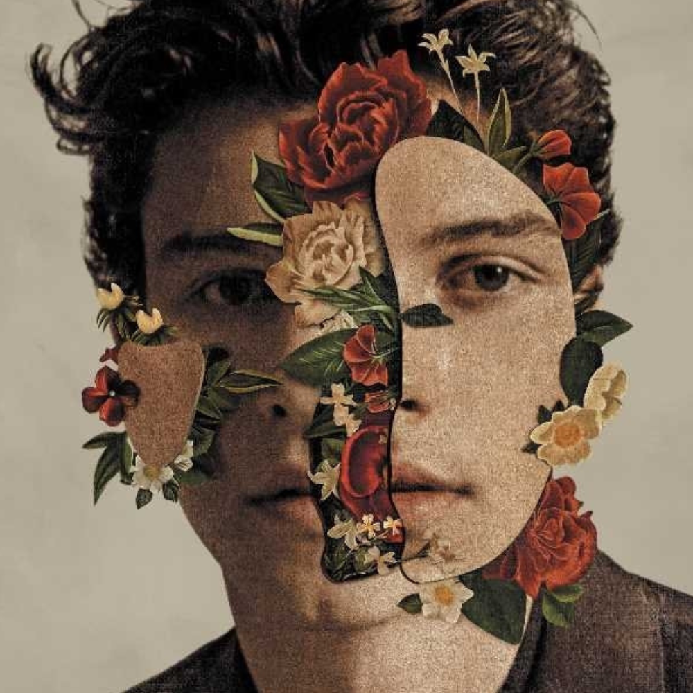 Shawn Mendes - CD