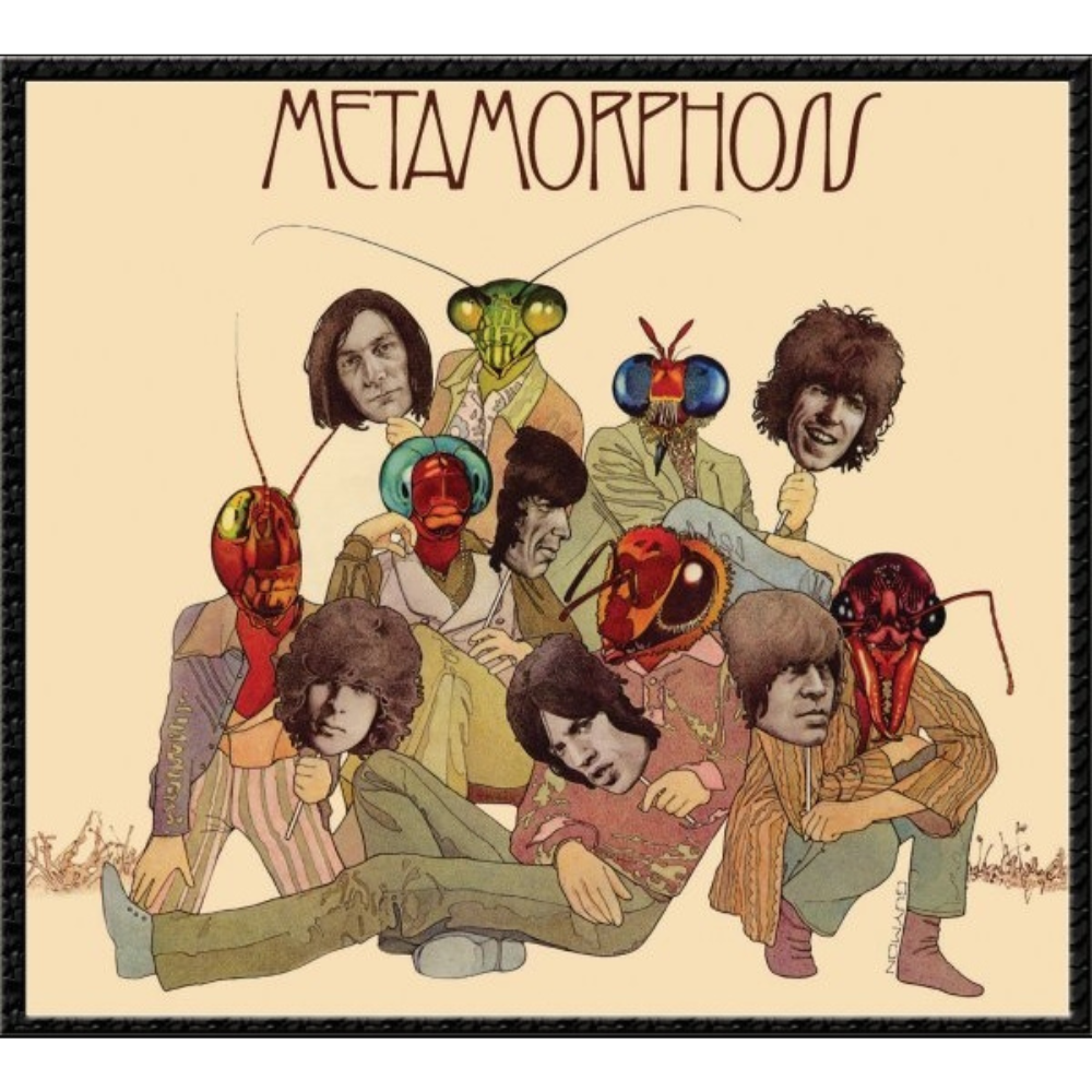 Metamorphosis - Vinilo