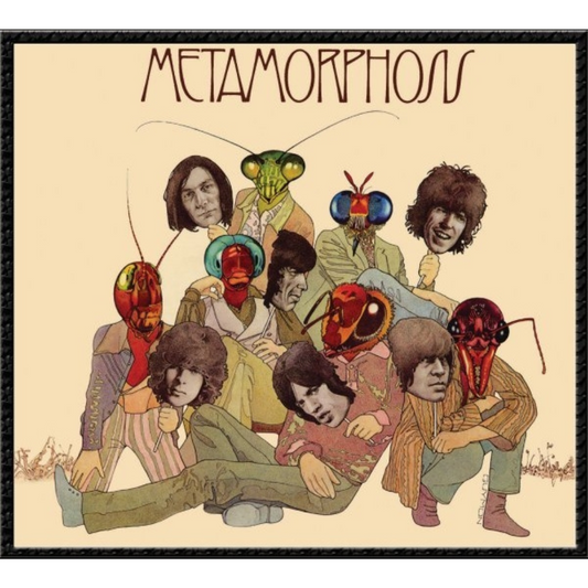 Metamorphosis - Vinilo