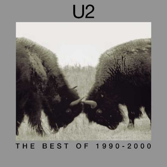 The Best Of 1990-2000 - CD